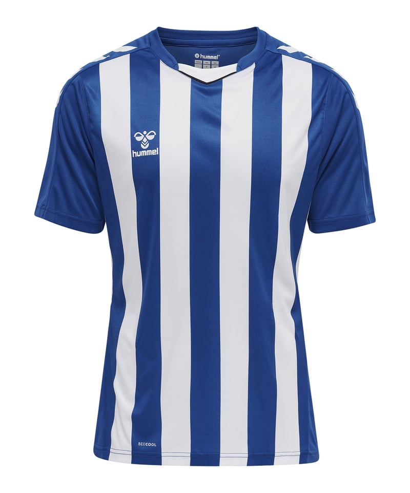 Hummel hmlCORE XK Striped Trikot Blau Weiss F7691 - blau