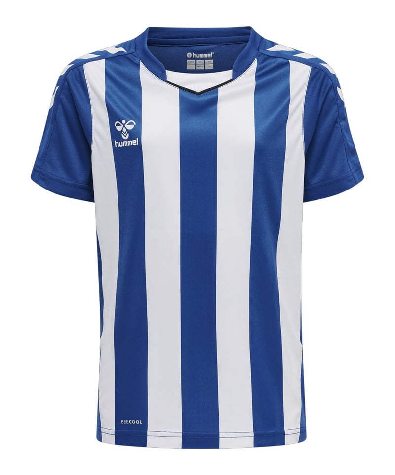 Hummel hmlCORE XK Stripped Trikot Kids F7691 - blau