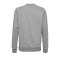 Hummel Cotton Logo Sweatshirt Kids Grau F2006 - Grau