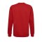 Hummel Cotton Logo Sweatshirt Rot F3062 - Rot