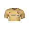 Academy Park VII Trikot kurzarm Gold F729 - gold