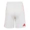 adidas 1. FC Köln Short Home 2026/2027 Weiß - weiss