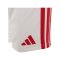 adidas 1. FC Köln Short Home 2026/2027 Weiß - weiss