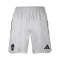 adidas 1. FC Nürnberg Travel Short Grau - grau