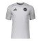 adidas 1. FC Nürnberg Travel T-Shirt Grau - grau