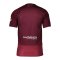 adidas 1. FC Nürnberg Trikot 3rd 2025/2026 Clubfrauen Männer Weinrot - rot
