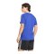 adidas AFA Argentinien Originals T-Shirt Blau - blau