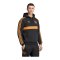 adidas Ajax Amsterdam Originals Hoody Schwarz - schwarz