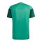 adidas Algerien Tiro Trainingsshirt Grün - gruen