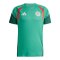 adidas Algerien Tiro Trainingsshirt Grün - gruen