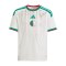 adidas Algerien Trikot Home WM 2026 Kids Weiß - weiss