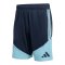 adidas Argentinien Tiro Training Short Blau - blau