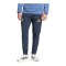 adidas Argentinien Tiro Travel Hose Blau - blau