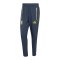 adidas Argentinien Tiro Travel Hose Blau - blau