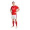 adidas Benfica Lissabon Short Home 2026/2027 Weiß - weiss