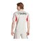 adidas Benfica Lissabon Trikot Away 2025/2026 Beige - beige