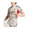 adidas Benfica Lissabon Trikot Away 2025/2026 Beige - beige