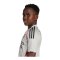 adidas Benfica Lissabon Trikot Away 2025/2026 Kids Beige - beige