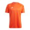 adidas Campeon 23 Trikot Orange - orange