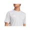 adidas Campeon 25 Trikot Grau - grau