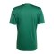 adidas Campeon 25 Trikot Grün - gruen