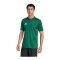 adidas Campeon 25 Trikot Grün - gruen