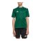 adidas Trikot Kids Grün - gruen