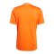 adidas Campeon 25 Trikot Orange - orange