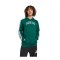 adidas College Hoody Grün - gruen
