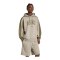 adidas Collegiate Hoody Silber - silber