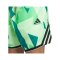 adidas Crazylite AOP 2 Short Grau - gruen