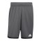 adidas DBB Deutschland Training Short Grau - grau