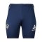adidas Delay Sports Trainingshose Blau - blau