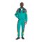 adidas DFB Deutschland EQT Jacke Grün - gruen