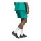 adidas DFB Deutschland EQT Short Grün - gruen