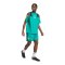 adidas DFB Deutschland EQT Short Grün - gruen