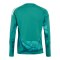 adidas DFB Deutschland Torwarttrikot Langarm Home WM 2026 Kids Grün - gruen