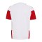 adidas DFB Deutschland Tiro Trainingsshirt Kids Weiß - weiss