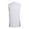 adidas DFB Deutschland Tiro Sleeveless Trainingsshirt Weiß - weiss
