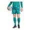 adidas DFB Deutschland Torwartshort Home WM 2026 Grün - gruen