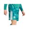 adidas DFB Deutschland Torwartshort Home WM 2026 Grün - gruen