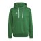 adidas Entrada 22 Hoody Grün - gruen