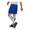adidas Entrada 22 Short Blau Weiss - blau