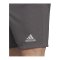 adidas Entrada 22 Short Grau - gruen