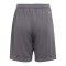 adidas Entrada 22 Short Kids Grau - grau
