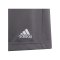 adidas Entrada 22 Short Kids Grau - grau
