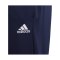 adidas Entrada 22 Trainingshose Kids Blau - blau