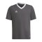 adidas Entrada 22 Trikot Kids Grau Weiss - grau