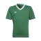 adidas Entrada 22 Trikot Kids Grün - gruen