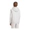 adidas Entrada 26 Hoody Kids Grau - grau